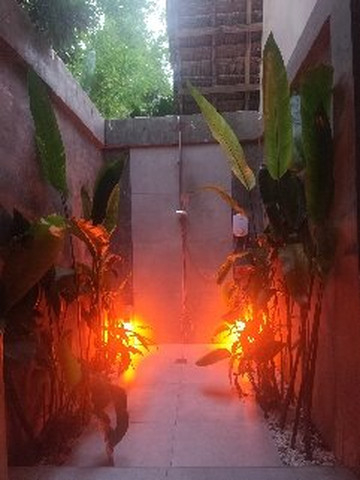 Bermuda Triangle Bungalows主图