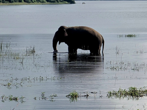 Geethmi Tours-亚洪加拉必去景点