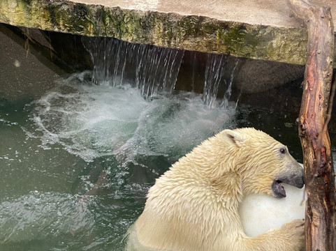 Zoo Karlsruhe-卡尔斯鲁厄必去景点