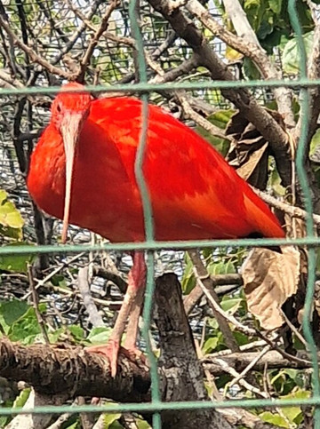 Pafos Zoo-帕福斯必去景点