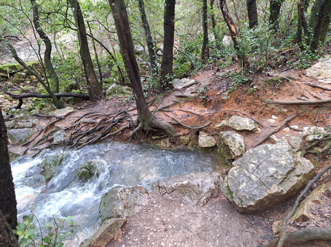 Les Sources de l'Huveaune-Nans-les-Pins必去景点