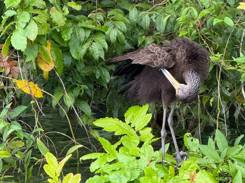 Rudy's Tours-巴拿马城必去景点