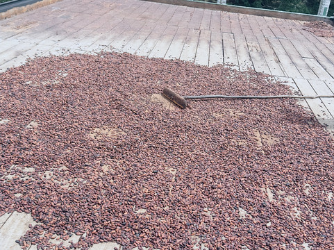 Fazenda Yrere-Ilheus必去景点