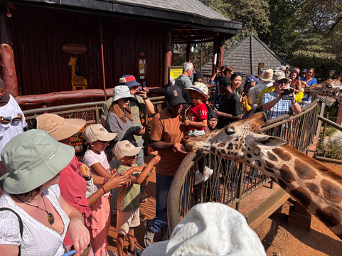 Marvels of Africa-内罗毕必去景点