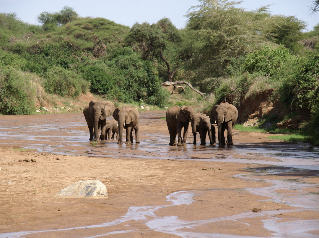 Hors Pistes Voyages-阿鲁沙必去景点