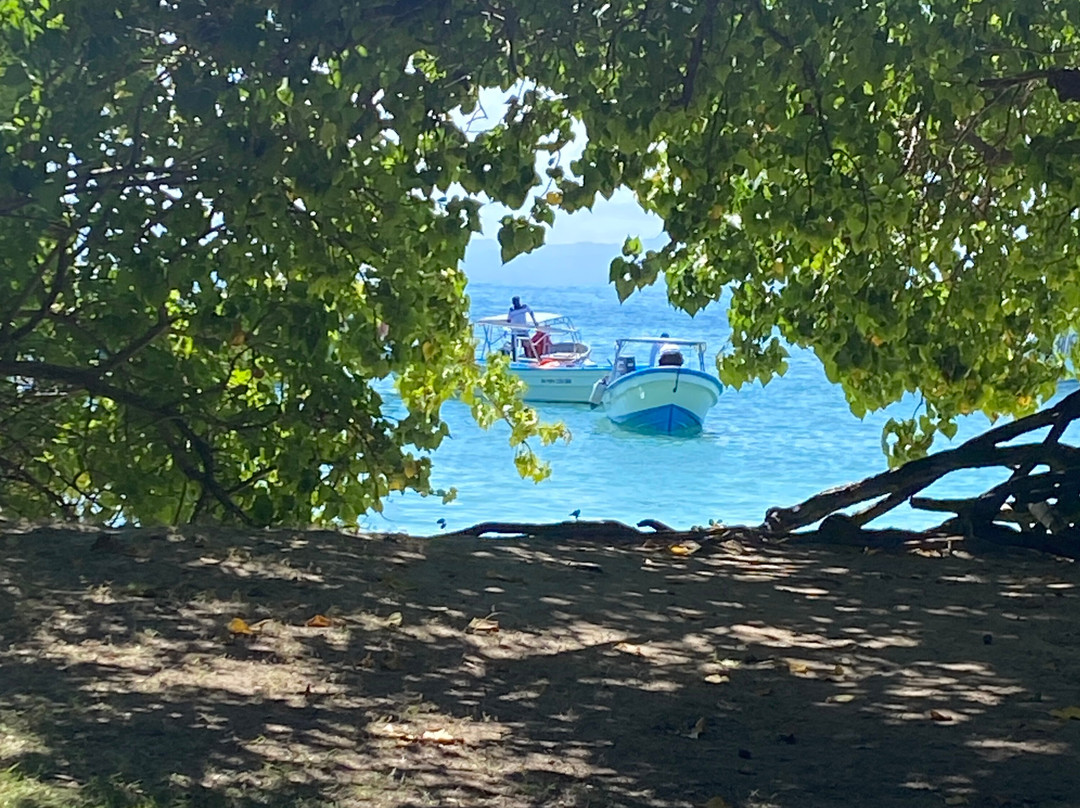 Peninsula Tours Las Terrenas-拉斯特拉纳斯必去景点