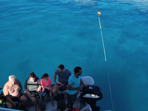 Wadi El Gemal National Park-马萨阿拉姆必去景点