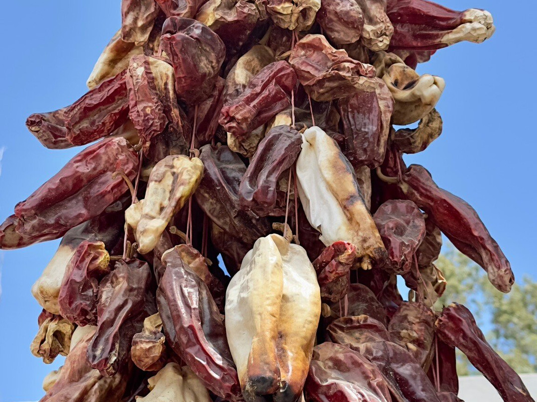 Cachi-卡奇必去景点