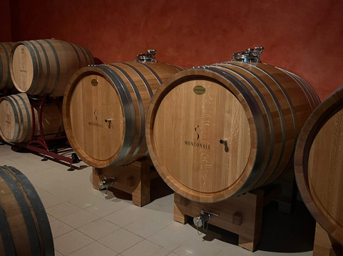 Montonale-代森扎诺-德尔加达必去景点