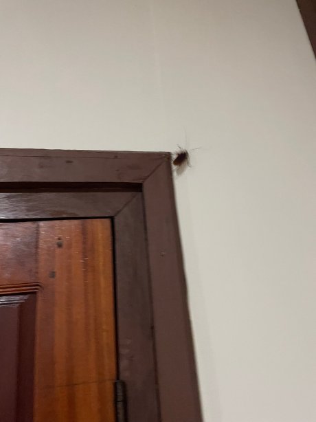 纳凯度假村-官方