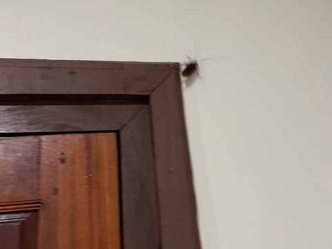 纳凯度假村主图