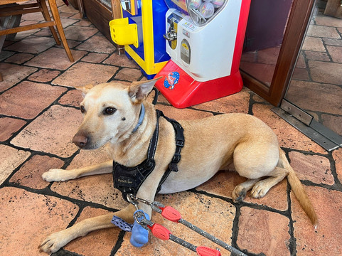 Restaurante Un Alto En El Camino