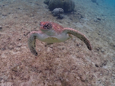 Shigira Beach-宫古岛市必去景点