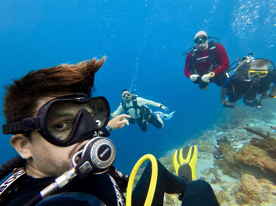 The Diveshop Curacao-威廉斯塔德必去景点