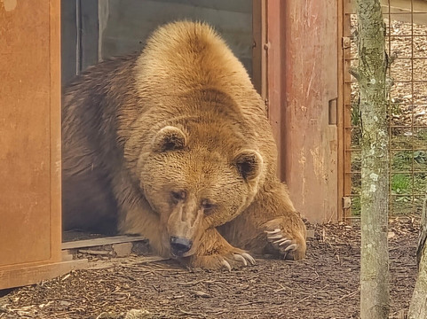 怀特岛动物园-桑当必去景点