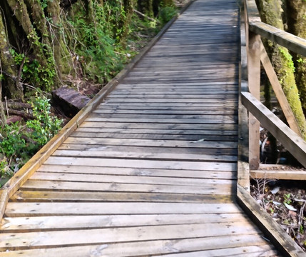 Ventisquero Yelcho-Chaiten必去景点