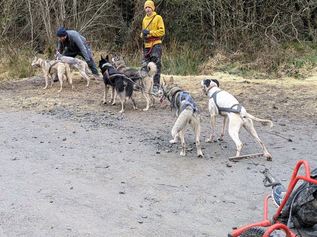 Mynydd Sleddog Adventures-Cerrigydrudion必去景点