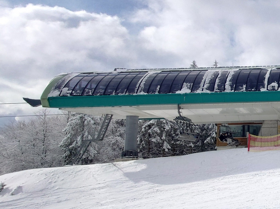 Skiliftkarussell Winterberg-Winterberg必去景点