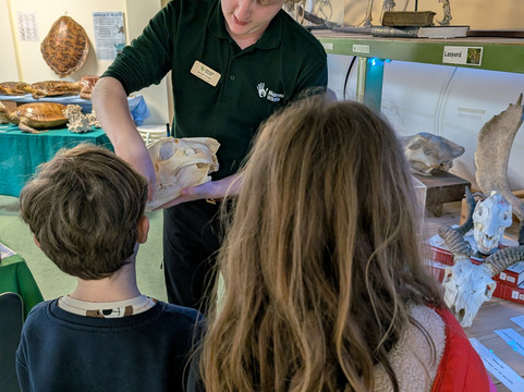 Marwell Zoo-温彻斯特必去景点