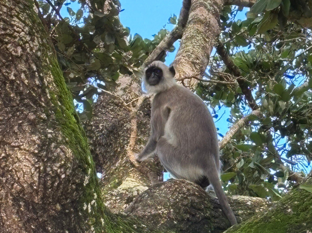 Freedom Safari Jeep Tours-蒂瑟默哈拉默必去景点