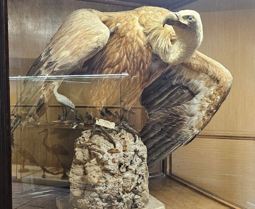 Real Casina di Caccia-Ficuzza必去景点