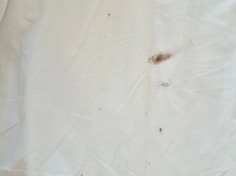 木麻黄酒店主图