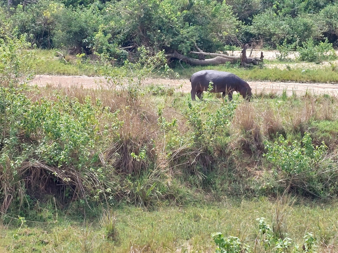 African Rock Safaris Ltd-坎帕拉必去景点