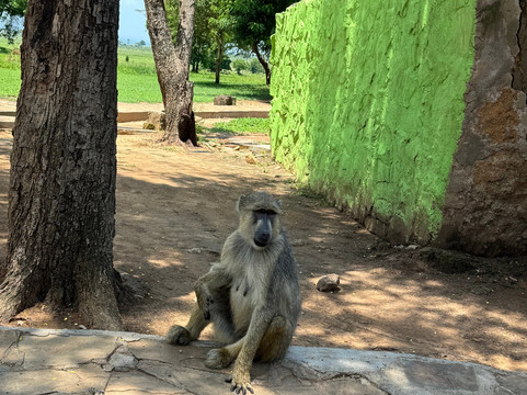 Andrea Vento Viaggi-Volla必去景点