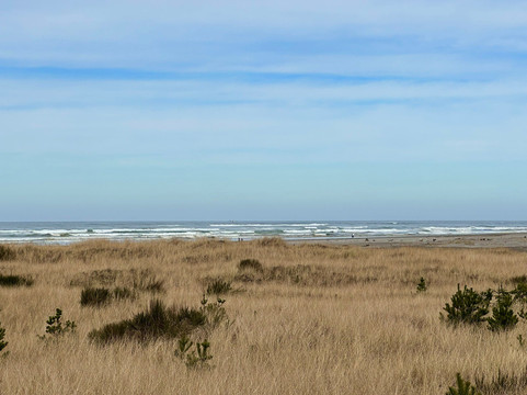长滩贝斯特韦斯特酒店主图