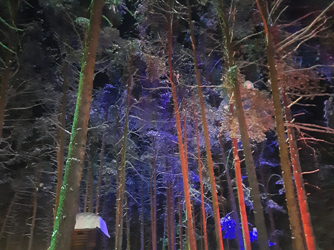 威乐斯生态酒店主图