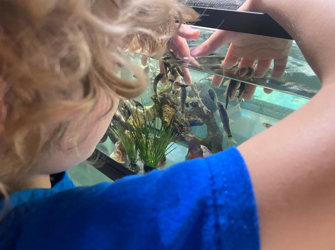 Fish Story Aquarium and Rescue-那不勒斯必去景点