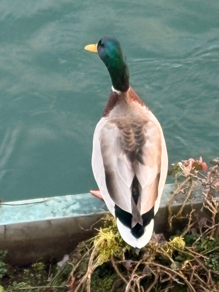 斯池艾瑞酒店-浴室