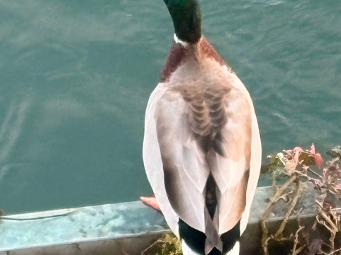 斯池艾瑞酒店主图