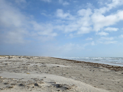 San Jose Island-阿兰瑟斯港必去景点