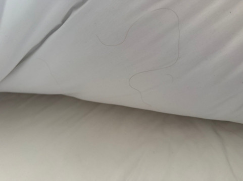 Termas de Cauquenes主图