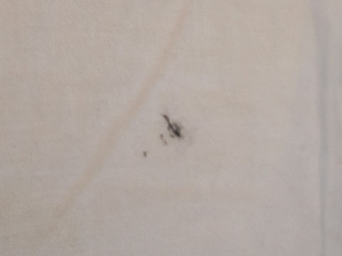 旅屋酒店-布拉克内尔市中心主图