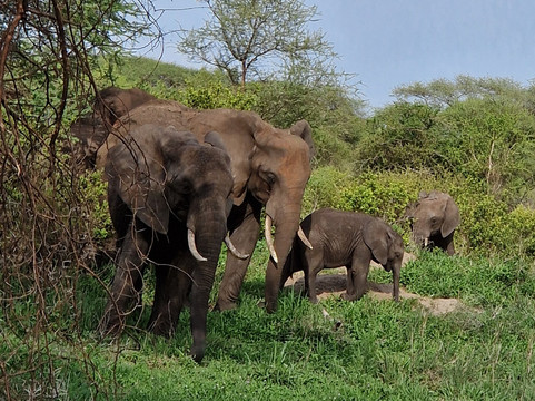 Tanzania-Experience-阿鲁沙必去景点