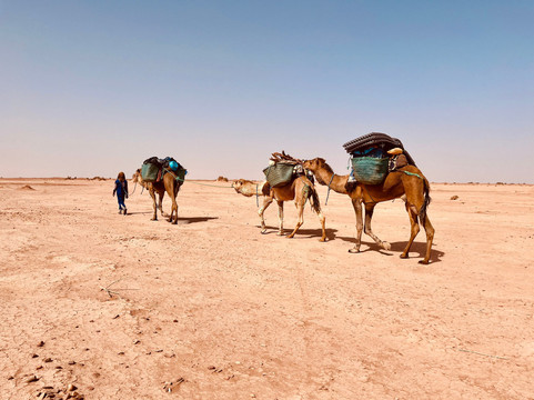 Sahara Steps-扎古拉必去景点