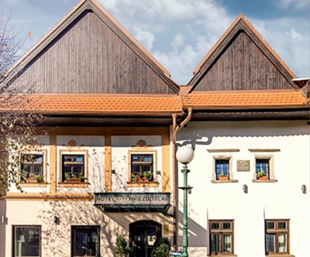 赫维兹多斯拉夫精品酒店主图