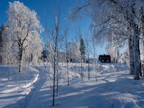 Blueberry Lodge Tours and Activities-Overkalix必去景点