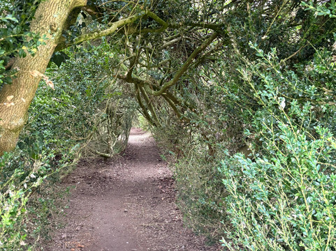 Chippenham Park-Chippenham必去景点