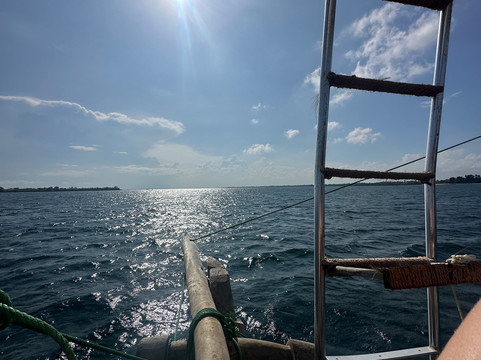 Nomadic Sails-Wasini Island必去景点