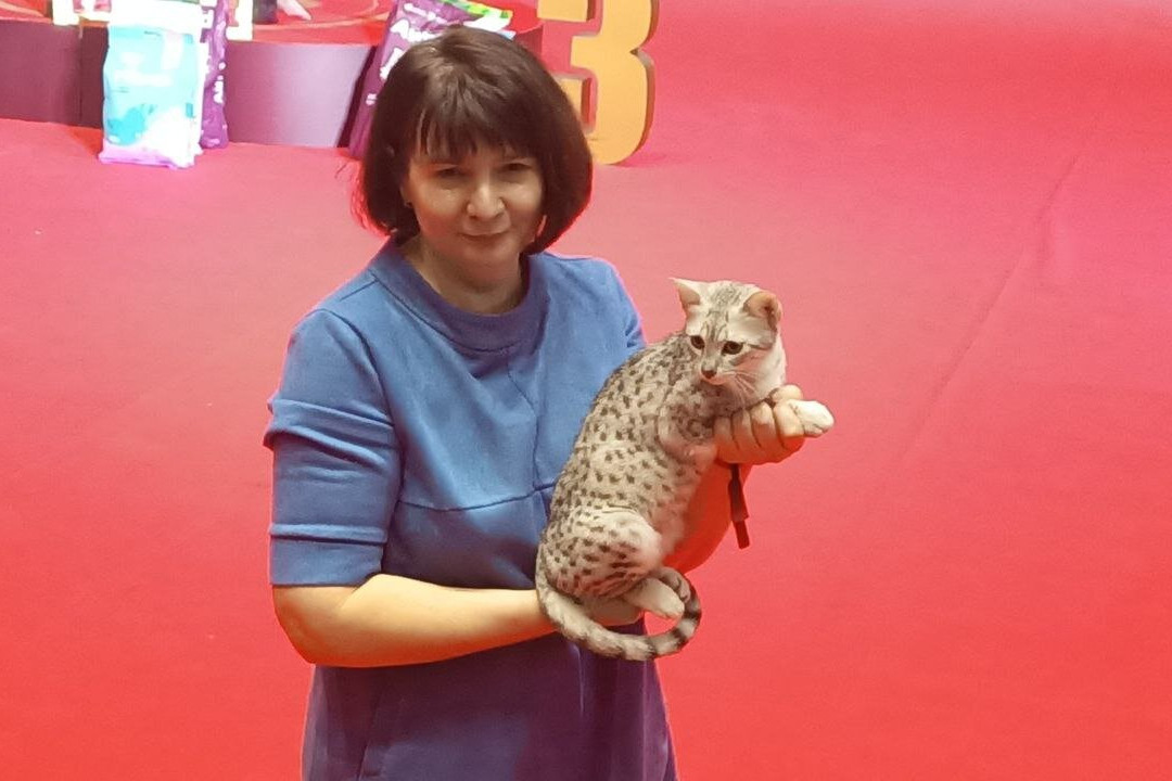 Gostiny Dvor and Trade Rows-Kimry必去景点