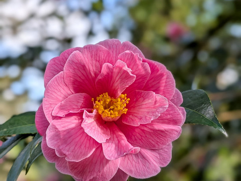 Fast Rabbit Farm Gardens-达特茅斯必去景点