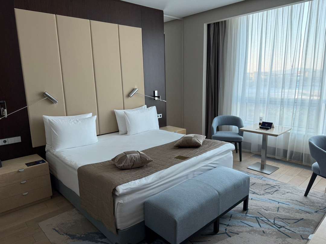 Apart-Otel Rodina Residences Vladivostok主图