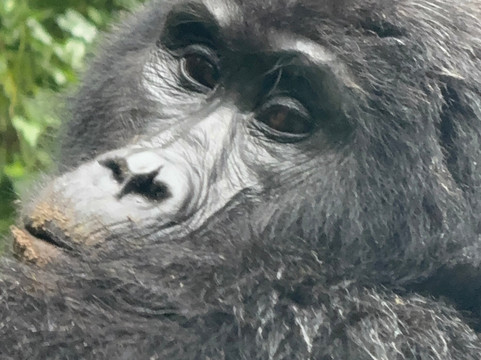 Deks Safaris & Tours Ltd-坎帕拉必去景点