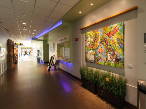 国家鸟类公园-匹兹堡必去景点