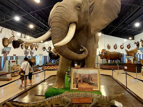 Baluarte Zoo-维甘必去景点