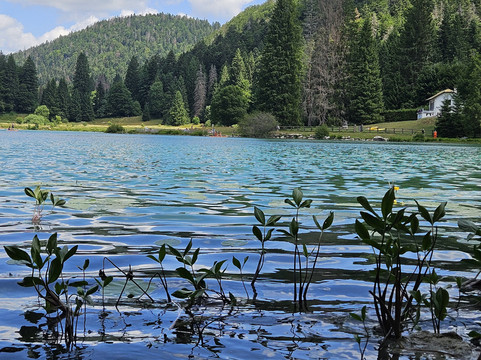 Lac Genin-Oyonnax必去景点