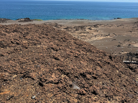 Go Galápagos Tours-Baltra必去景点